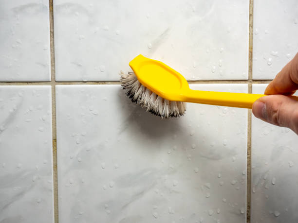 Best Emergency Mold Removal  in Paw Paw Lake, MI
