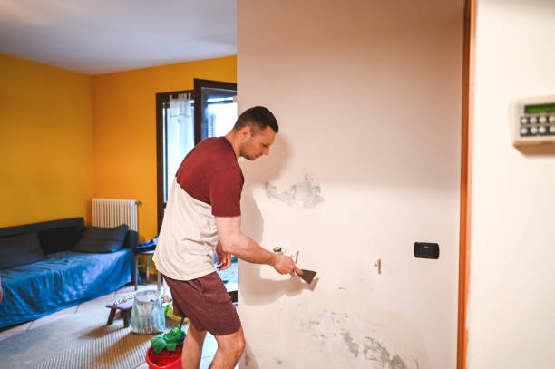 Best Mold Cleaning Services  in Paw Paw Lake, MI